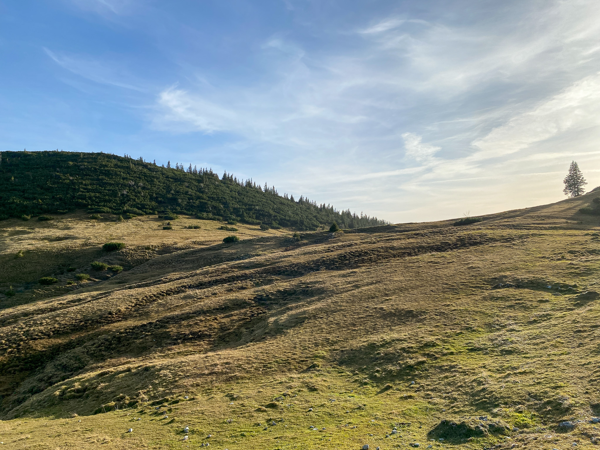 Webdesign Rosenheim - Agentur für Social Media und SEO Optimierung