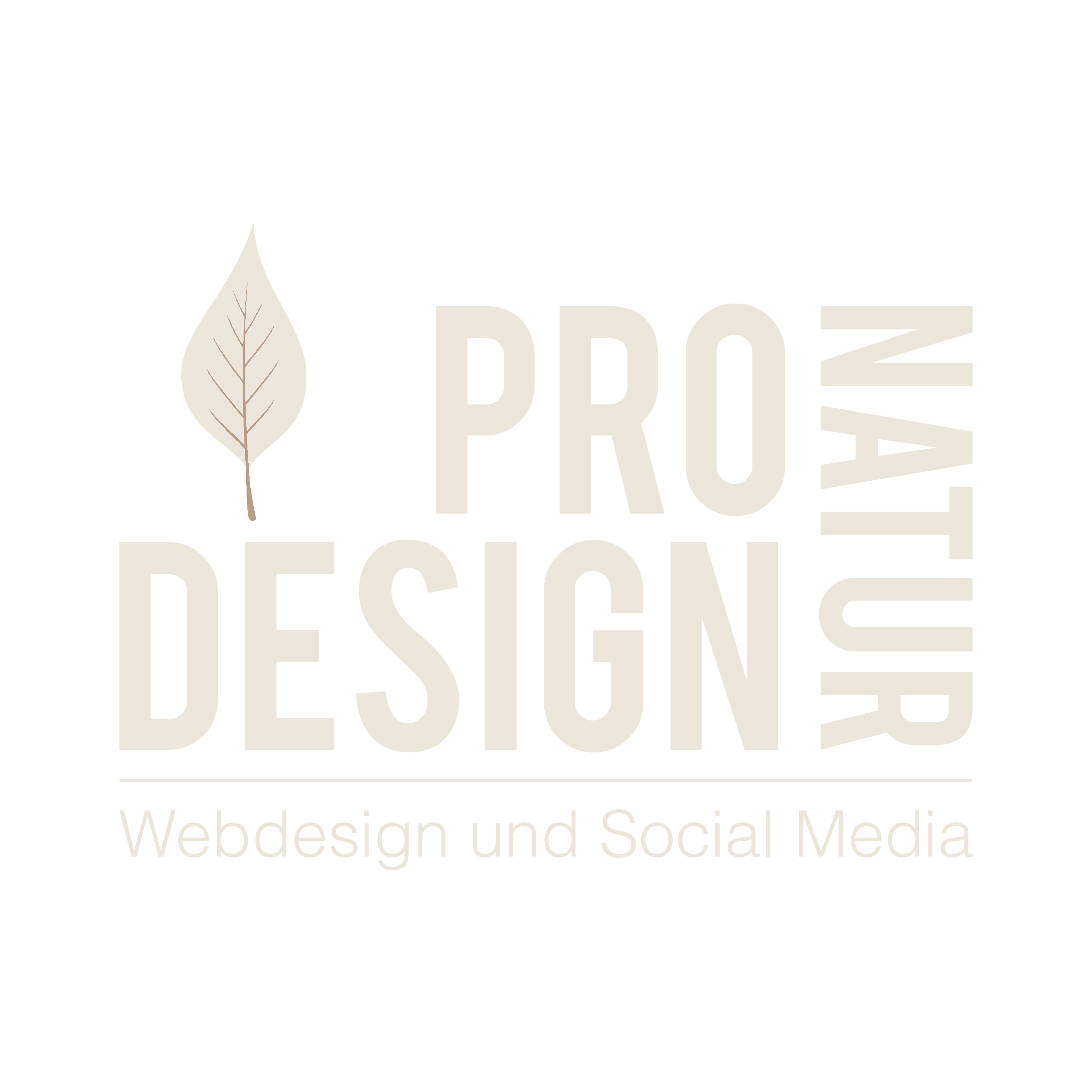 Webdesign Agentur Rosenheim