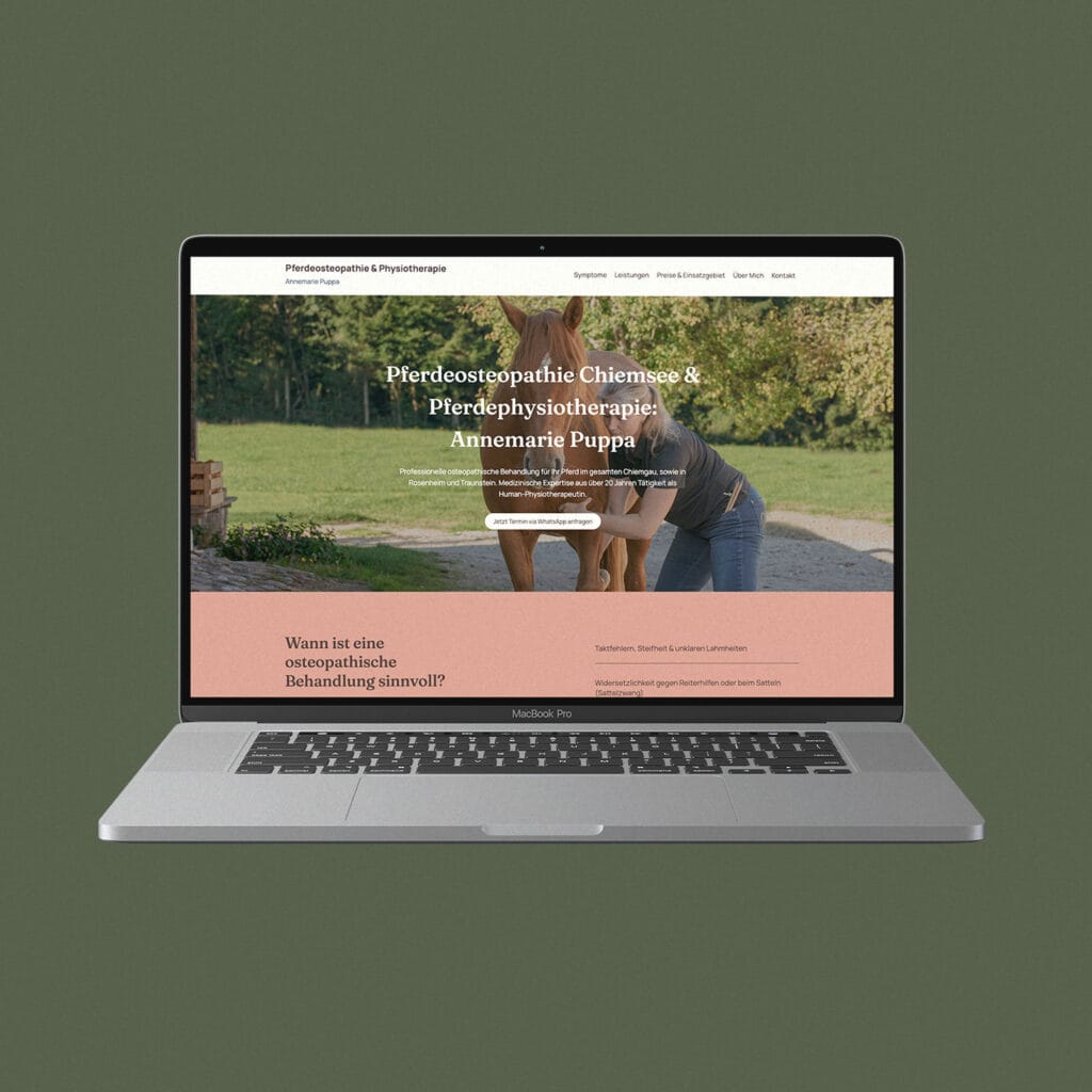 SEO & GEO optimierte Webseiten Traunstein