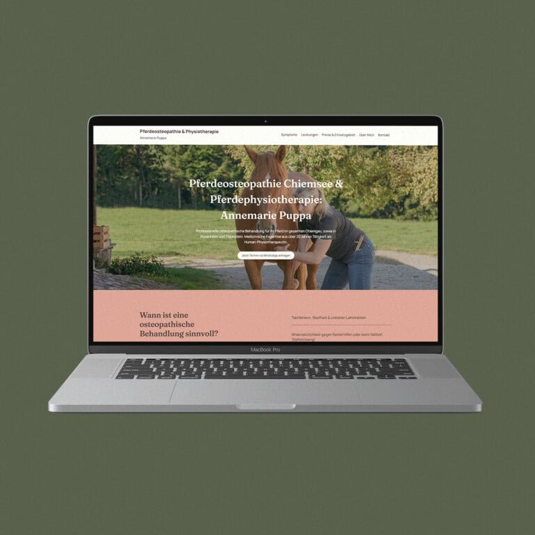 SEO & GEO optimierte Webseiten Traunstein