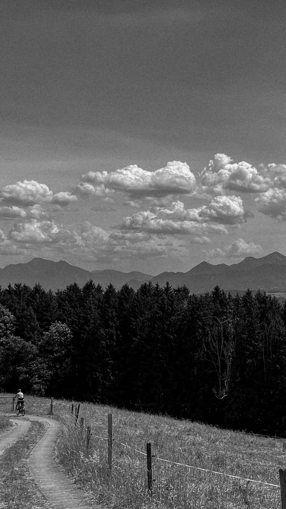 Professionelles Webdesign Rosenheim für nachhaltige Unternehmen bei einer Mountainbike-Tour.