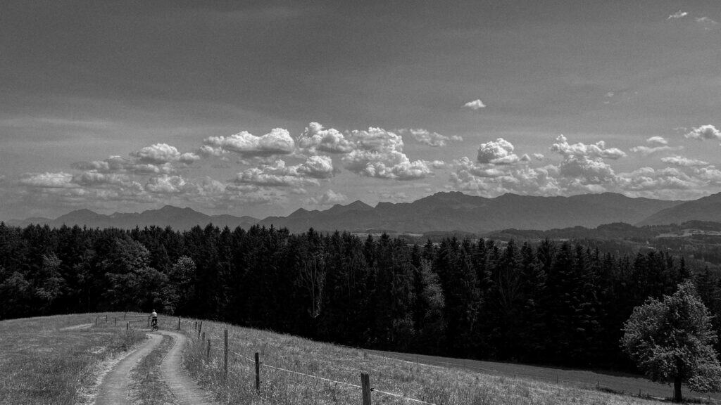 Ein Radfahrer auf einem Feldweg im Chiemgau mit Blick auf die Alpen – Webdesign und SEO für nachhaltige Unternehmen von Dominique, Ihrem Webdesigner in Rosenheim.